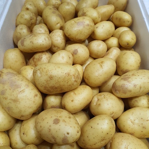 Vivaldi Potato (500g)