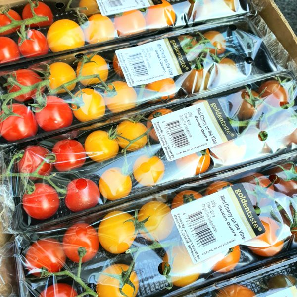 Four Color Mixed Cherry Tomato on Vine (200g pack)