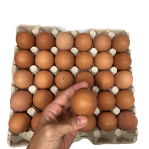 Large AA M'sia Fresh Eggs (30 Eggs Tray)