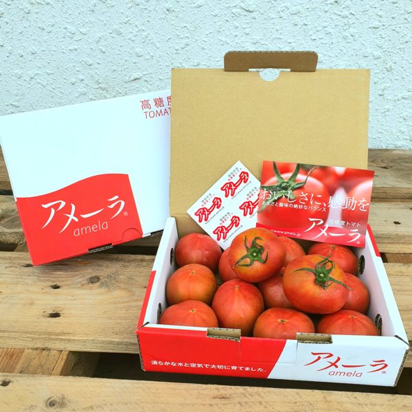 Japan Amela Tomato 1kg Box