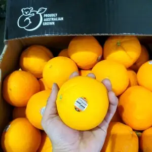 Australia Navel Orange (5pcs)