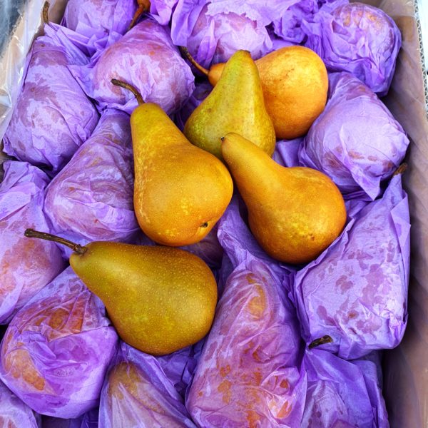 Bosc Pears (3 pcs)