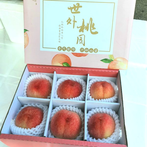 China Peach (6pcs Carton)