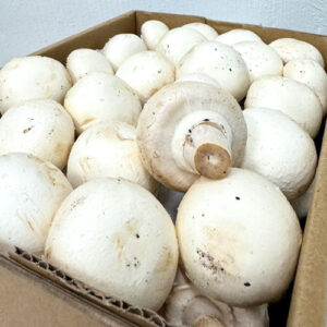 White Button Mushroom (1kg)