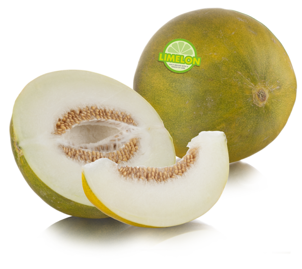 Limelon (Lime Melon)