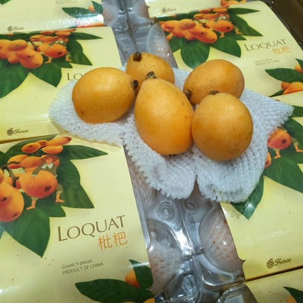 Fresh Loquat 枇杷 (500g; 4-5pcs)