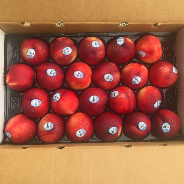 Family Tree Farms Nectarine (Large) (3pcs)
