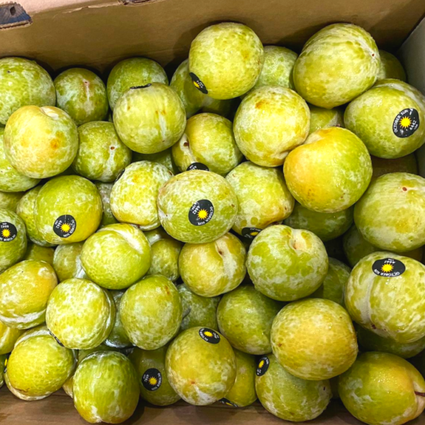 USA October Sun Plums (500g)