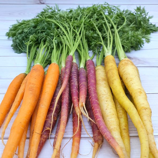 Rainbow Baby Carrots with Leaves (300g)
