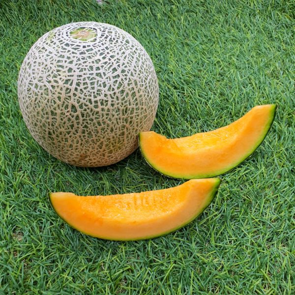 Quincy Melon