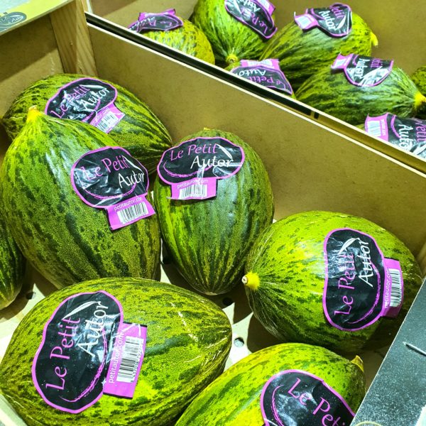 Sapo Melon Smallish (1.6-1.8 kg)