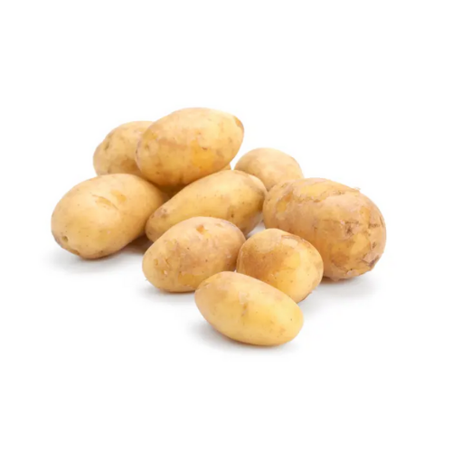 Sebago Potato