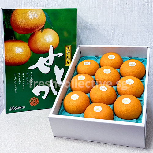 Setoka Mandarin Gift Box (8-10pcs)