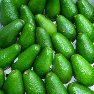 Aust Shepard Avocado (1CARTON; 28-30pcs)