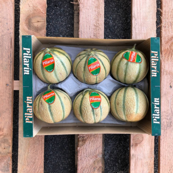 French Charentais Melon (1 CARTON - 6pcs)