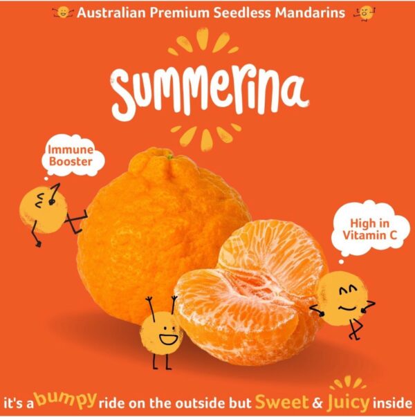 Summerina Mandarin Oranges (1kg)