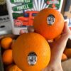 Sunkist Barnfield Navel