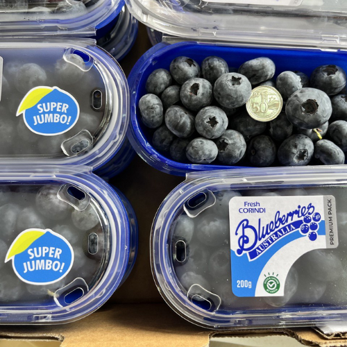 Corindi Super Jumbo Blueberries (200g) – Fresh Collective
