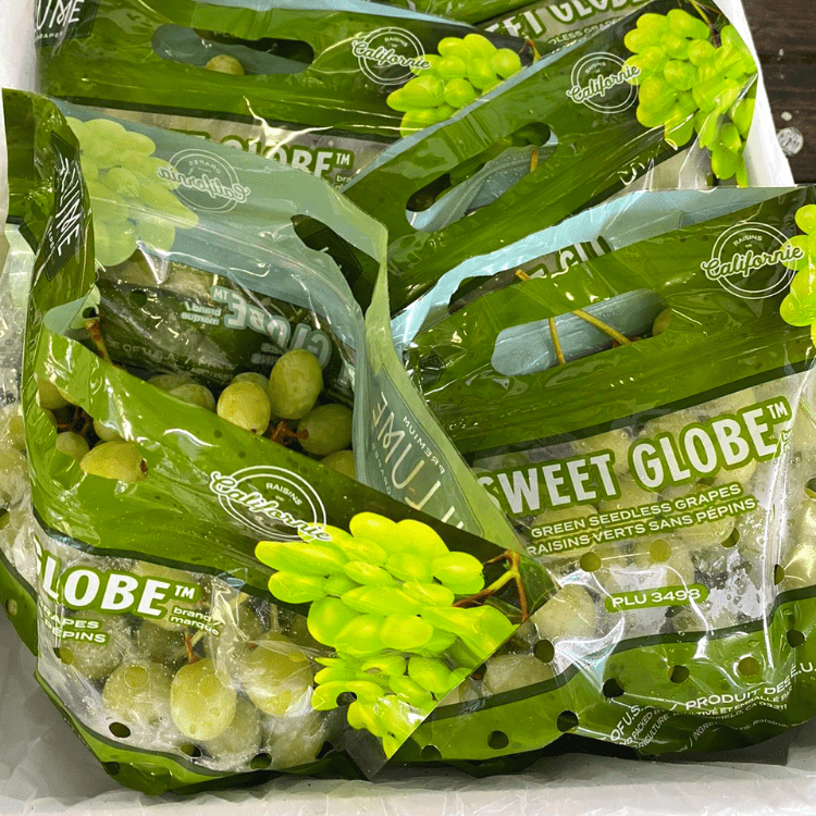 Grapes Sweet Globe Green Seedless Grapes Carton Of 8 Kg Fresh Grapes Sweet Globe Green Seedless Grapes Carton Of 8 Kg Fresh