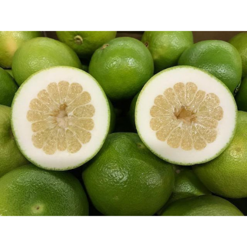 Israel Sweetie Grapefruit (3pcs) Fresh Collective