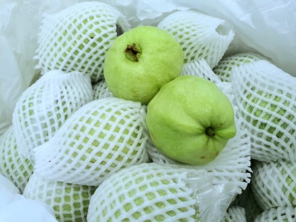 Thai Guava (1 kg)