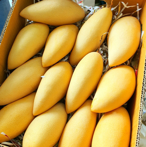 Thai Honey Mango