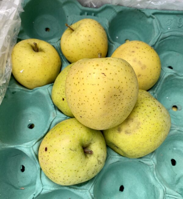 UGLY Japan Aomori Kiou Apple (2pcs)
