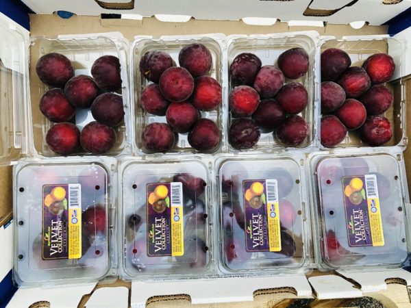 Black Velvet Aprium (~450g pack)