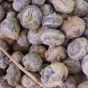 Water Chestnut (500g)
