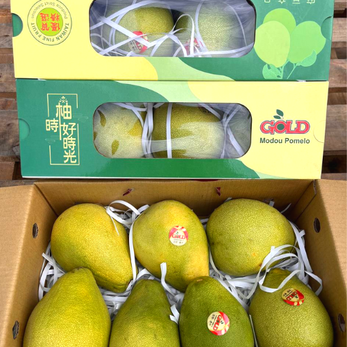 Pomelo Taiwan WenDan 文旦柚 Gift Box (3kg; 67pcs) Fresh Collective