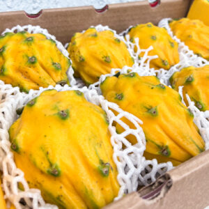 Yellow Dragonfruit (1 CARTON; 7-9pcs)