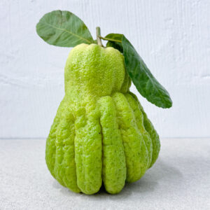 Buddha's Hand 佛手 (1pc; ~1kg)