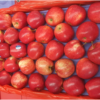 NZ Gala Apple