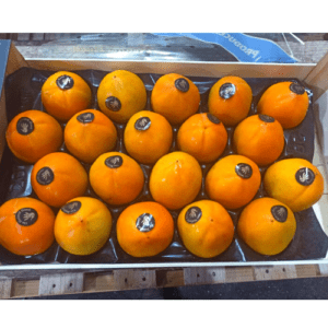 Spanish Persimmon (1 CARTON; 18 pcs)