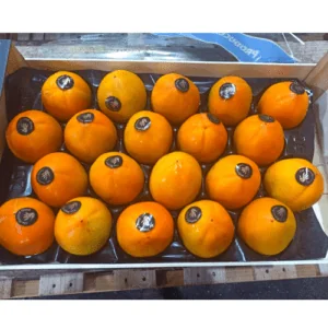 Spanish Persimmon (1 CARTON; 18 pcs)