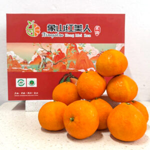 S666.kiwi - Mở Cánh Cổng Giải Trí Trực Tuyến Đỉnh Cao