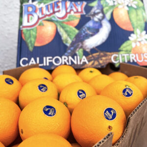 Bluejay Autumn Gold Navel Oranges (1 CARTON; 72pcs)