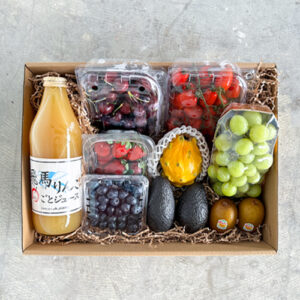 Premium Fruits Gift Box with Japanese Apple Juice