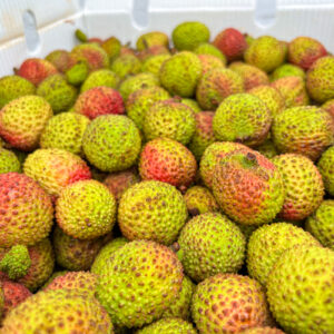 Fei Zi Xiao Lychee (1 Ctn; 8.5kg-9 Kg)