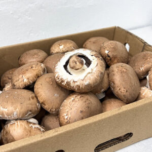 Swiss Brown Mushroom (1 CARTON; 900g-1kg)