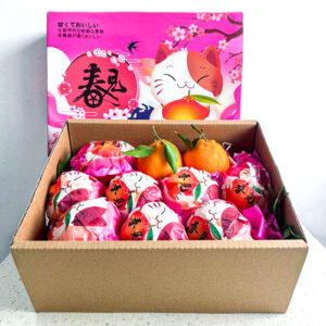 Pa Pa Gan Mandarin Orange  春见耙耙柑  (1 CARTON ; 18-21 pcs)